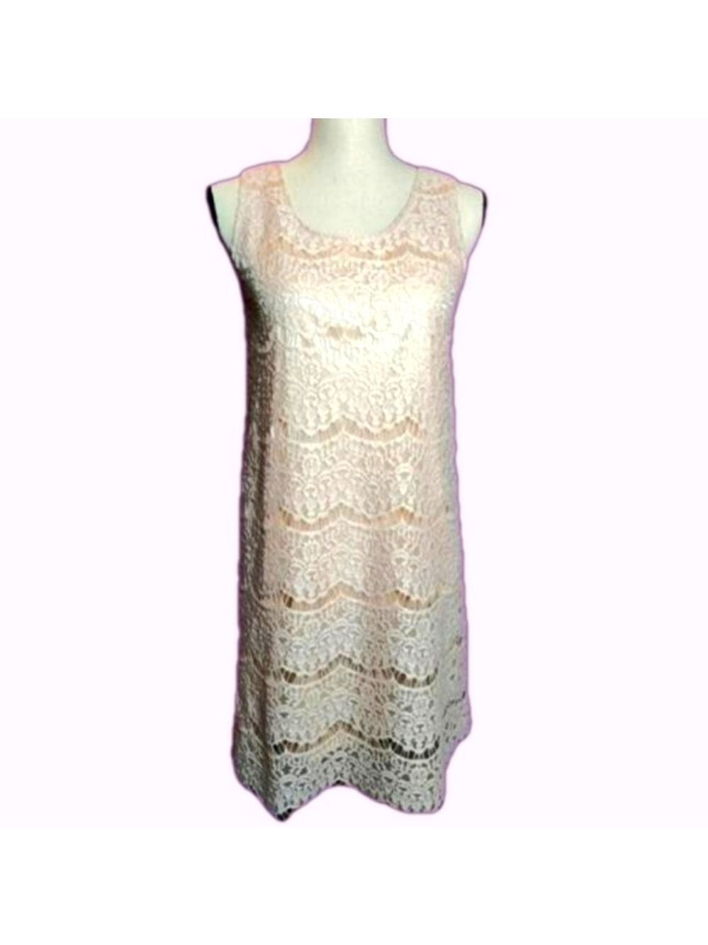New Blush Lace Overlay Silky Satin Sleeveless Dress Small